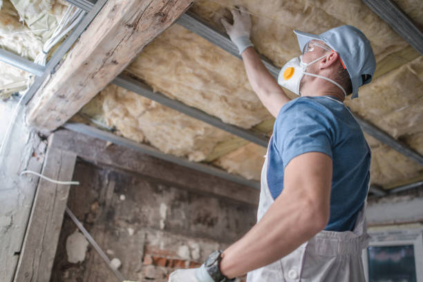 Best Insulation Installation Services in Big Bear Lake, CA